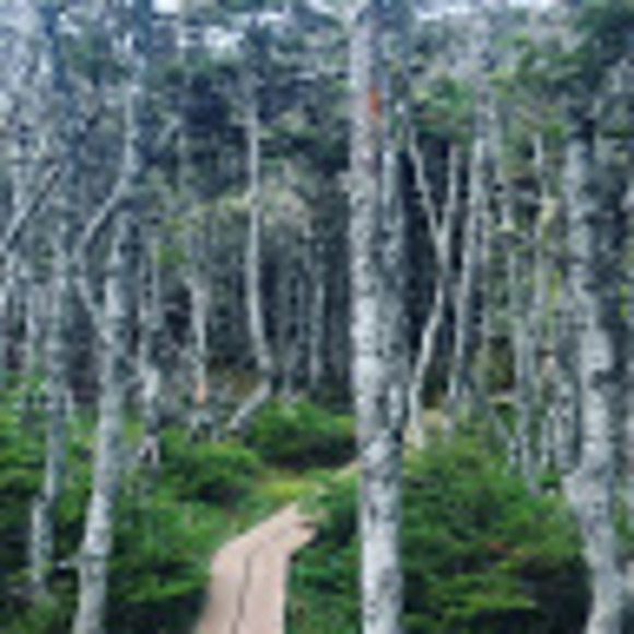 Meet your Posher, Justin - Picture 1 of 1